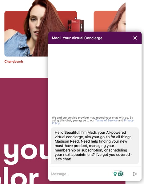 AI-Assisted Beauty Agents