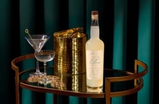 Zero-Proof THC Spirit Alternatives