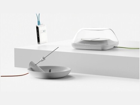 Nature-Inspired Lifestyle Design