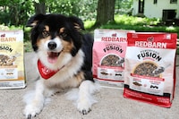 Healthy Fusion Dog Kibbles Image 1