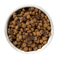 Healthy Fusion Dog Kibbles Image 3