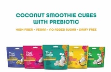 Prebiotic Smoothie Cubes