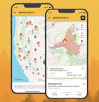Real-Time Fire Alerts