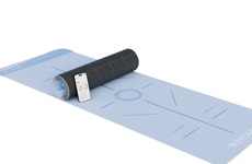 Intelligent Fitness Companions