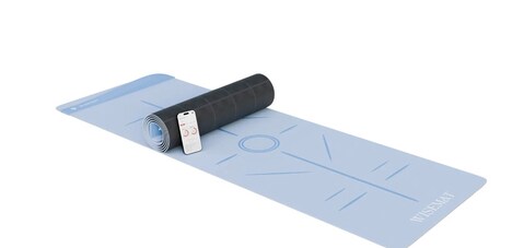 Intelligent Fitness Companions