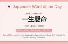 Daily Language Builders