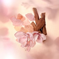 Musky Floral Fragrances Image 2