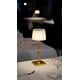Classic Cordless Lamps Image 1