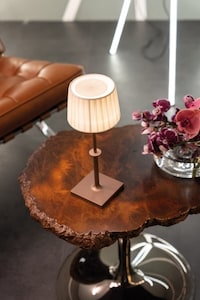 Classic Cordless Lamps Image 2