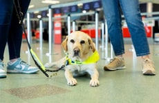 Airport Accessibility Training Partnerships
