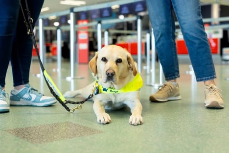 Airport Accessibility Training Partnerships