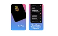 Root Detection Tools