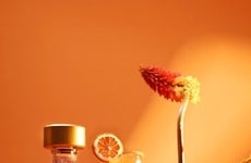 Autumnal Citrus-Infused Cocktails