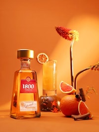 Autumnal Citrus-Infused Cocktails