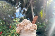 Autumnal Probiotic Yogurts