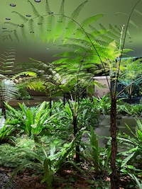 Biophilic Lighting Innovations Image 2