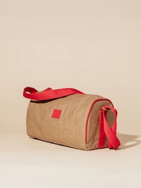 Stylish Poppy-Inspired Cooler Bags Image 2