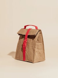 Stylish Poppy-Inspired Cooler Bags Image 4