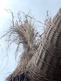 Folk Creature Sculptures Image 3