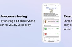 AI Mental Wellness Tools