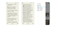 Multilingual Learning Platforms