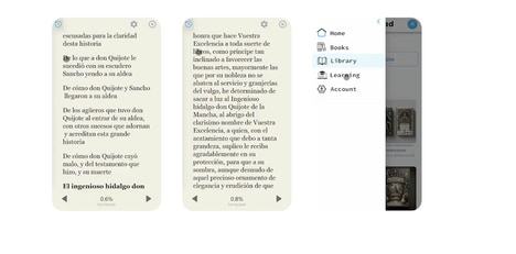 Multilingual Learning Platforms
