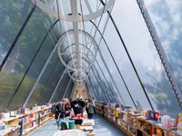 Mobile Glass Libraries Image 3
