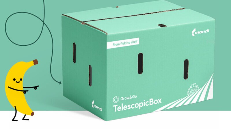 Collaborative Eco Banana Packaging Article Thubnail