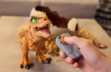 Top 20 Toys Trends in November