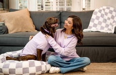 Top 30 Pets Trends in November