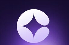 Goal Accountability Platforms