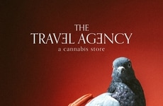 Carrier Pigeon Campaigns