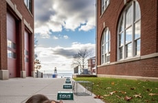 Innovative Rat Birth Control