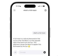 Private AI Chats Image 1