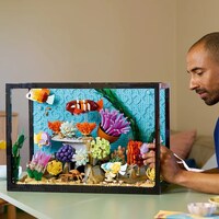 Kinetic Reef Displays Image 3