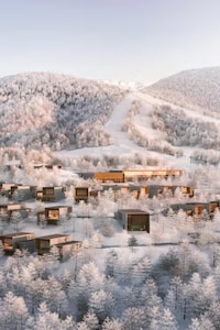 Mountain Wellness Sanctuaries
