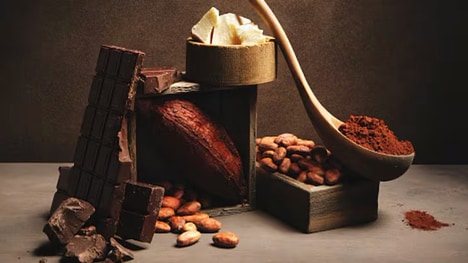Cell-Cultured Cocoa Butters
