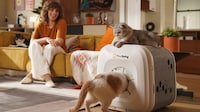 Automated Grooming Cat Houses Image 1