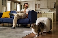 Automated Grooming Cat Houses Image 2