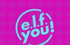 In-Stream Shoppable Experiences