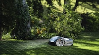 Adaptive AI-Powered Lawnmowers