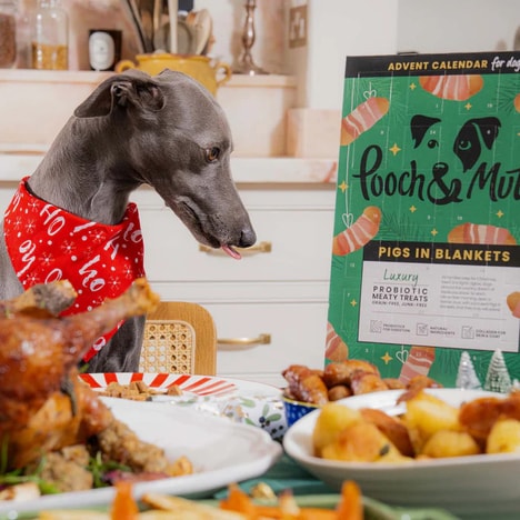 Probiotic Pet Advent Calendars