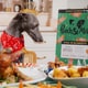 Probiotic Pet Advent Calendars Image 1