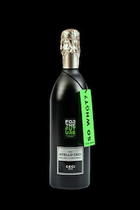 Aluminum Sparkling Wine Bottles Image 1