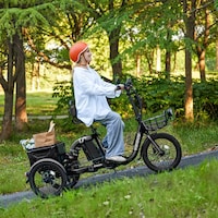 Modular Cargo-Hauling Electric Trikes Image 2