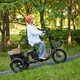 Modular Cargo-Hauling Electric Trikes Image 2