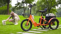 Modular Cargo-Hauling Electric Trikes Image 3