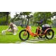 Modular Cargo-Hauling Electric Trikes Image 3