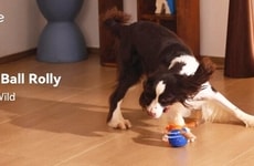 Self-Moving Smart Dog Balls