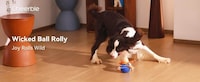 Self-Moving Smart Dog Balls Image 1